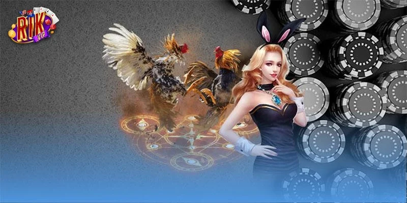 Review giao diện Tip Club phiên bản 2026: Vẫn đẳng cấp tài phiệt như xưa