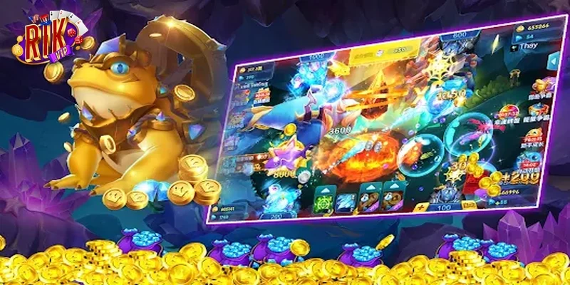 Bí quyết săn hũ an toàn và bền vững cho ngư thủ